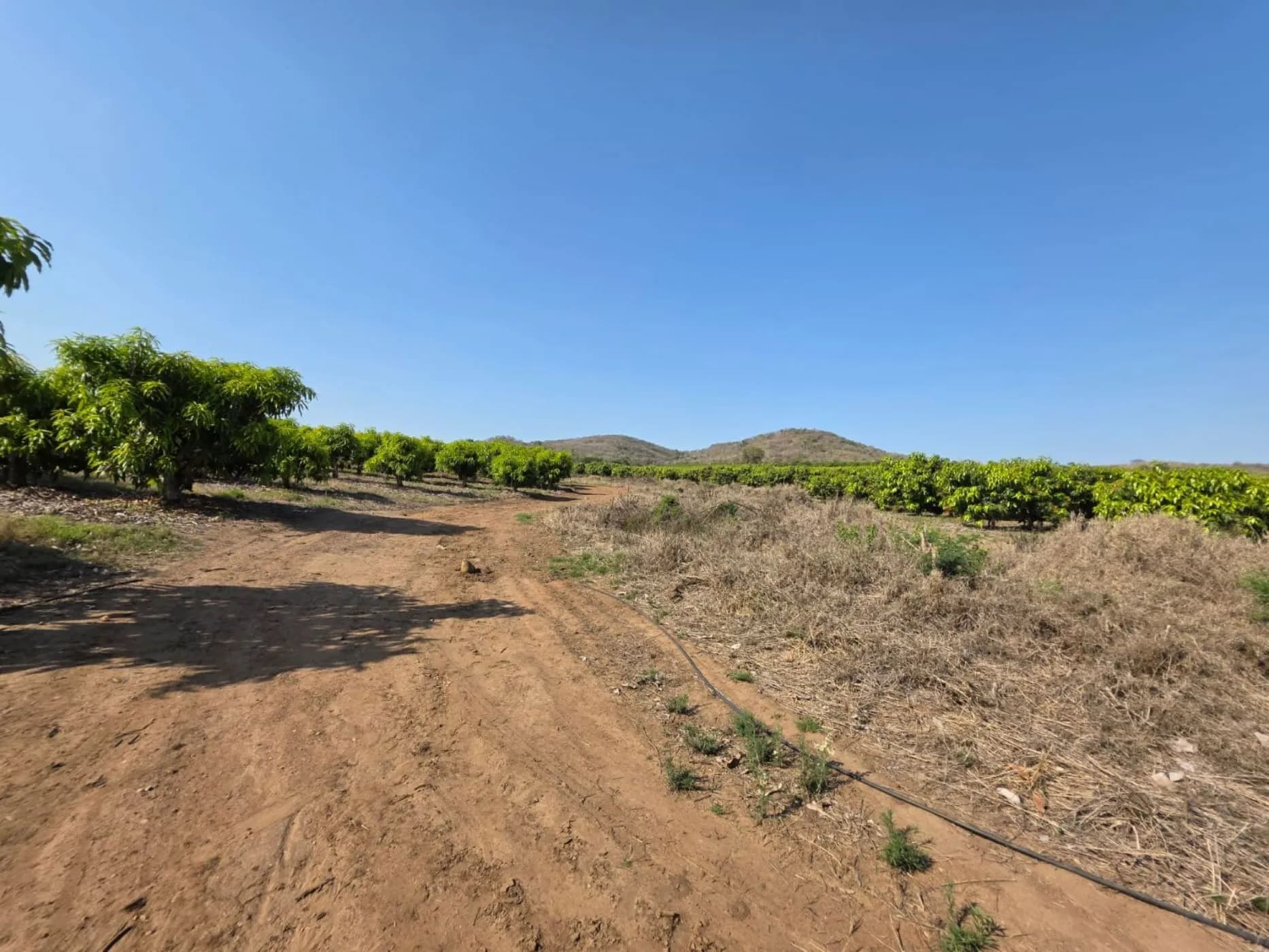 Property image 37